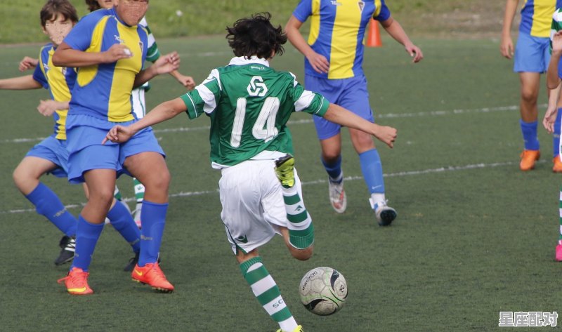 体育赛事今日运势,体育赛事今日运势 - 星座运势