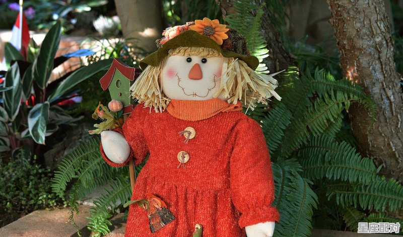 白羊低头认错代表什么,白羊座反面性格 - 星座运势