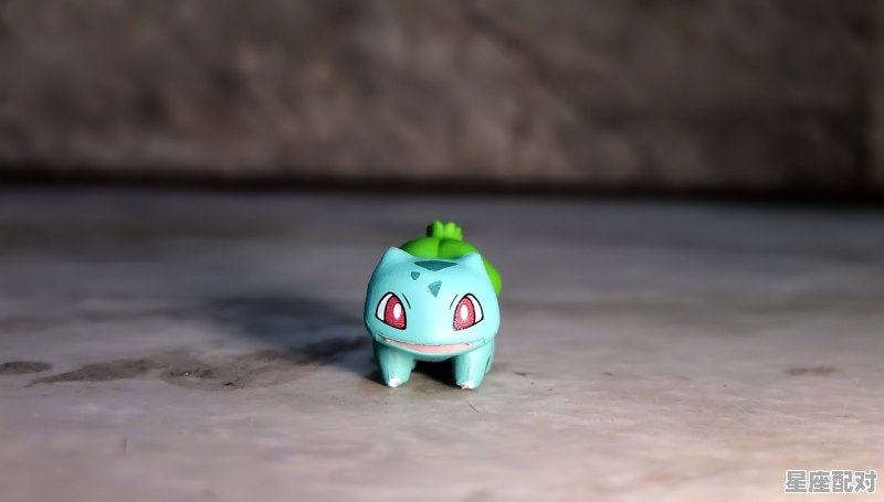 pokemmo合众斑马配招_pokemmo斑斑马配招 pokemmo合众斑马配招_pokemmo斑斑马配招 - 星座运势