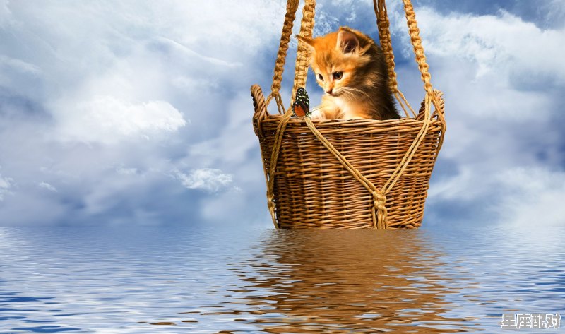 属牛今年运程,生肖运势今日生肖运 属牛今年运程,生肖运势今日生肖运 - 星座运势