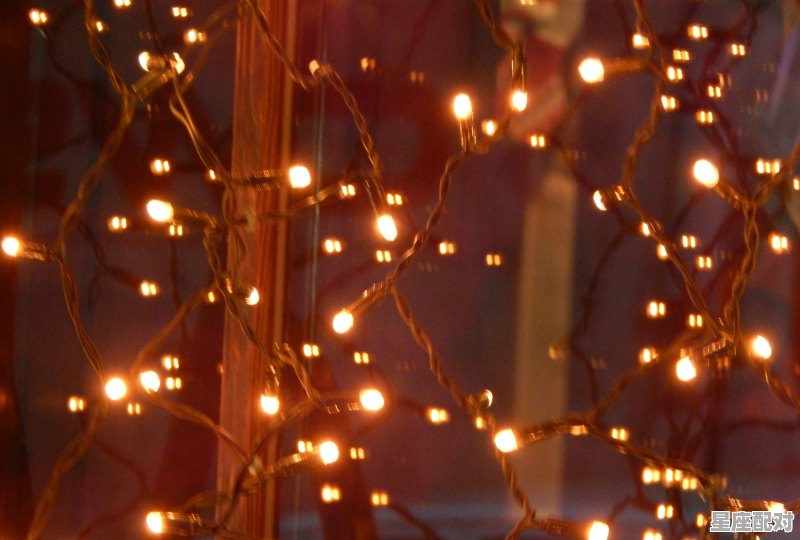 凌晨是什么动物_深夜后代表什么动物 - 星座运势