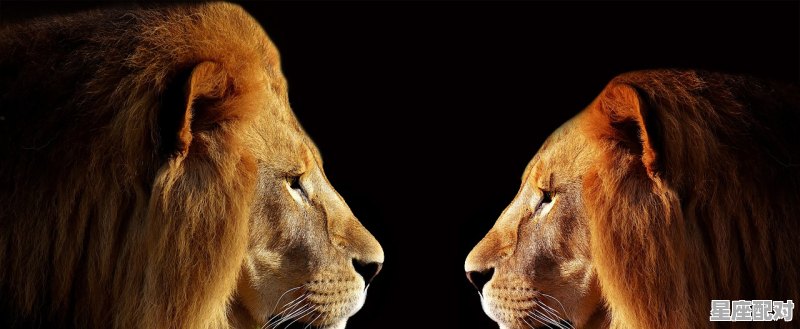 狮子女和水瓶男会走到最后吗,狮水瓶座性格 - 星座运势